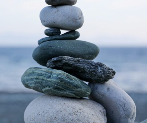 mor shani wvqc6yqvn8 unsplash