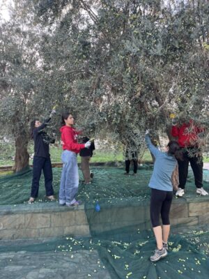 2b4270a4 c125 4eff b09e ea612edb6775 1 105 c