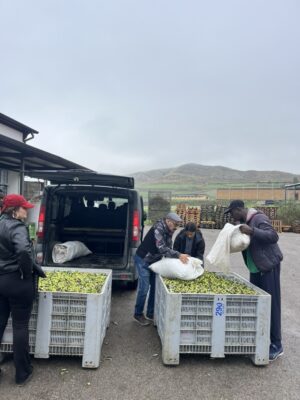 58d7c538 4c83 4cd9 8879 cd60872cd43d 1 105 c