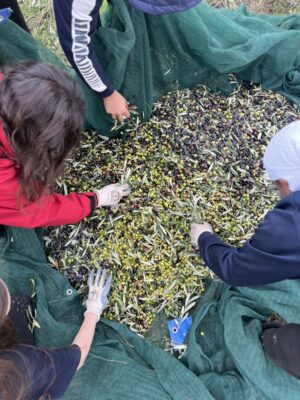 7b8454d2 5162 40eb 83ac 833767b86d3d 1 105 c