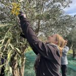 99cf5f83 b078 4348 9514 8ad17068a993 1 201 a