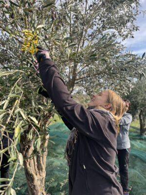 99cf5f83 b078 4348 9514 8ad17068a993 1 201 a