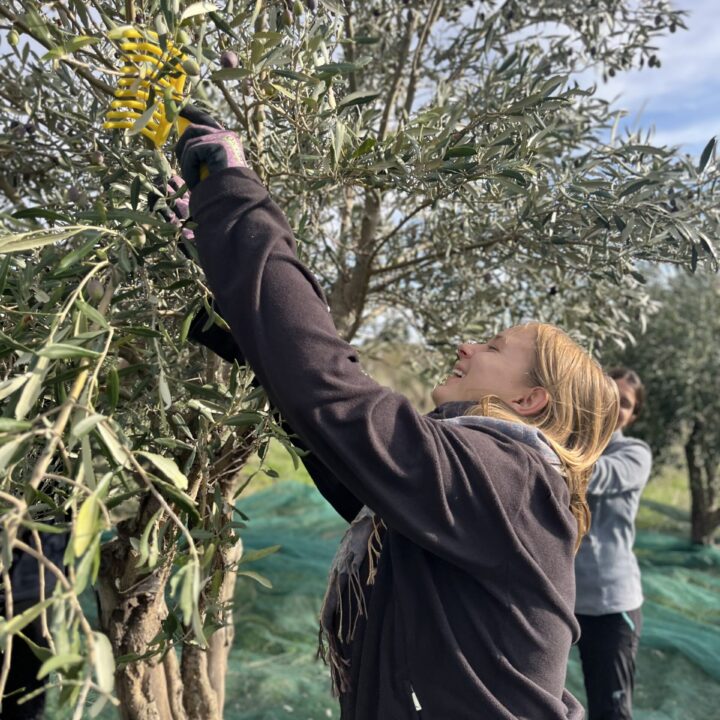 99cf5f83 b078 4348 9514 8ad17068a993 1 201 a