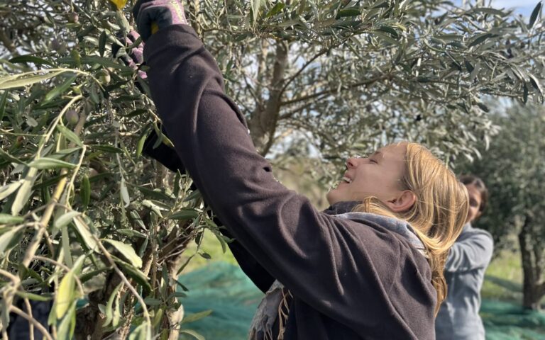 99cf5f83 b078 4348 9514 8ad17068a993 1 201 a