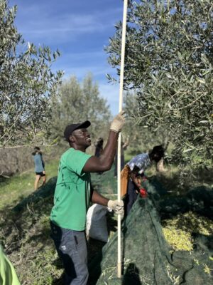 b135897a 4369 4301 a90e c83242e228c1 1 105 c