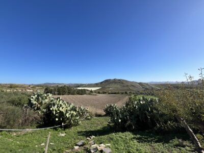 ce7905d6 071c 4178 bc7c 8c26f114d37f 1 105 c