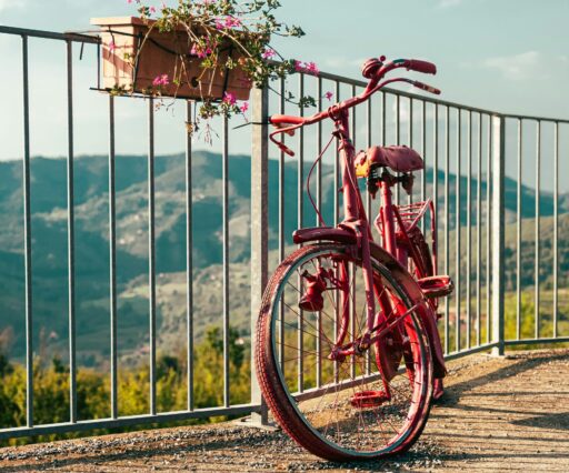 marco de gregorio v8oceyodtew unsplash