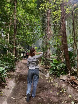 4cc359ce e69a 4f79 993e 6646be8e007a