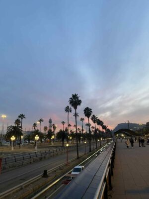 69e891a3 cd90 45df 97a7 2853cc9168af