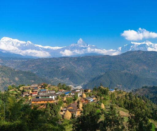 martin skrivanek sz pctnmfi unsplash