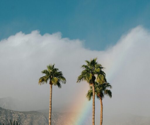 nathan dumlao quw3h5s4qx8 unsplash