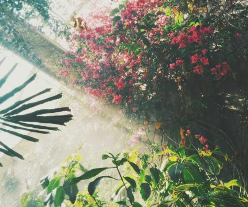 florian giorgio t6kr9bbhavg unsplash