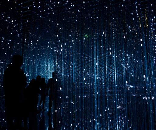 robynne o horhcnqsxnq unsplash