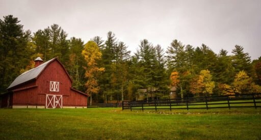 frances gunn qcbaz7vrehq unsplash