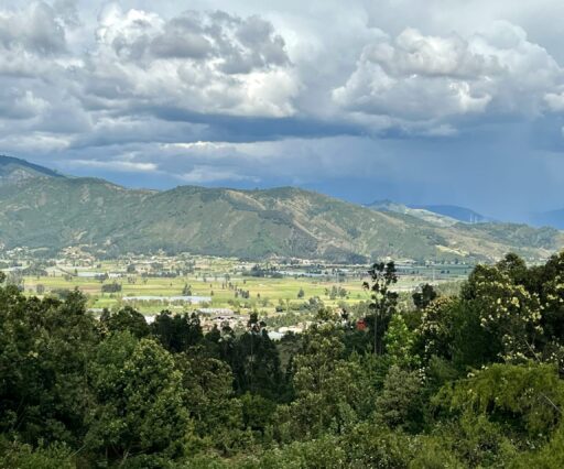 mariana baptiste zyh92ee3a9i unsplash