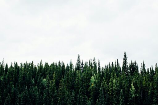 michael benz iz2sgqkihm unsplash