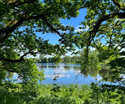 siret jaksic c0fpgb9afxi unsplash