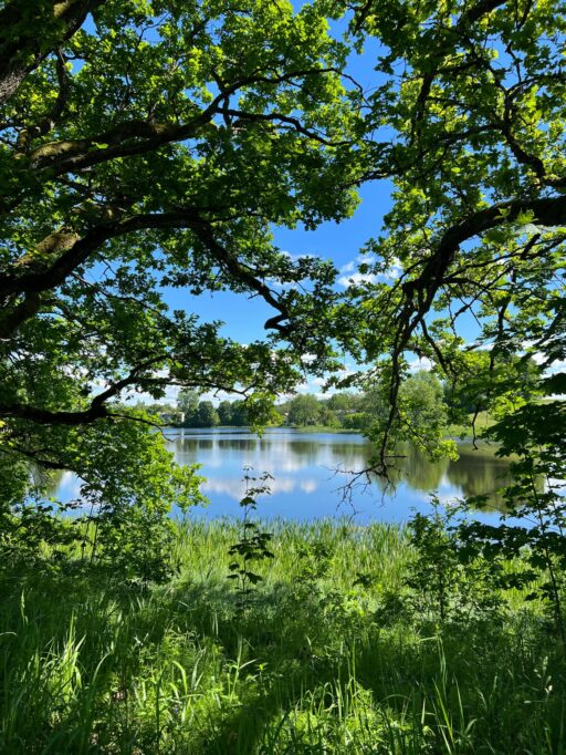 siret jaksic c0fpgb9afxi unsplash