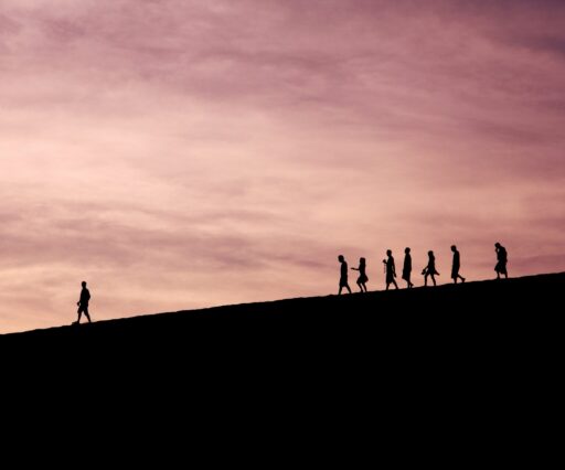 jehyun sung 6u5aemqiajg unsplash