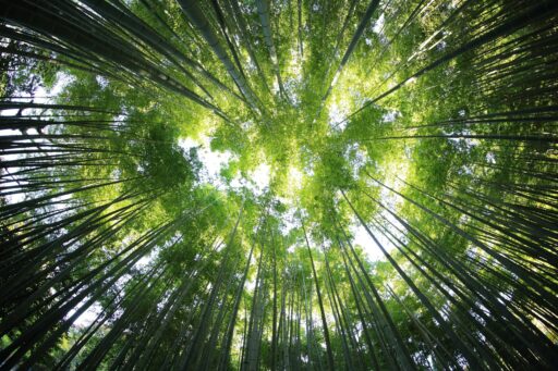 kazuend 19sc2oavzw0 unsplash