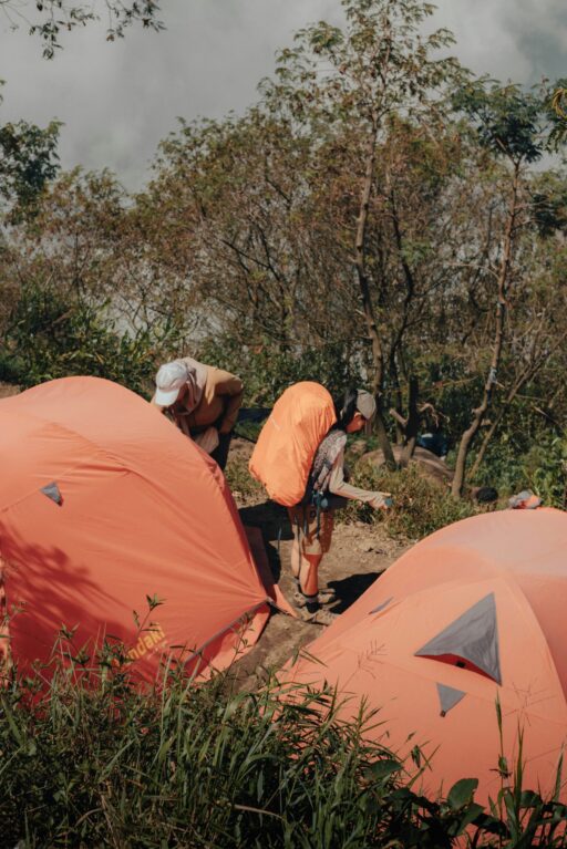 m fachmi firmansyah ppkfxhula1m unsplash
