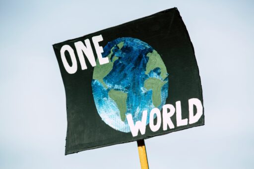 markus spiske r1bs0pzlr1m unsplash