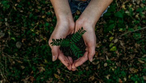 noah buscher x8zstuks2pm unsplash