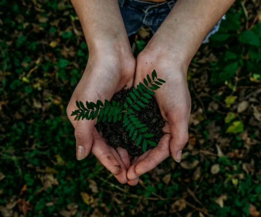 noah buscher x8zstuks2pm unsplash