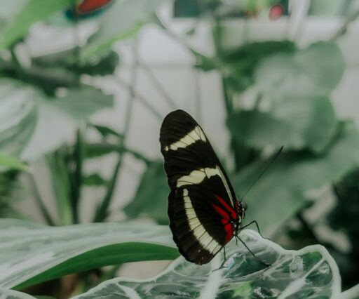 arian r qdacjbe88ig unsplash