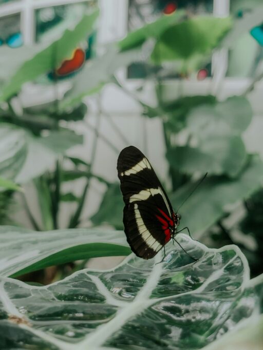 arian r qdacjbe88ig unsplash